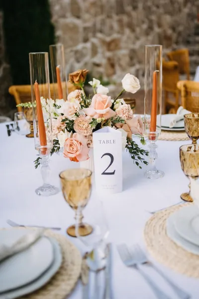 Iva & Sascha's Rustic Wedding in rural Dalmatia
