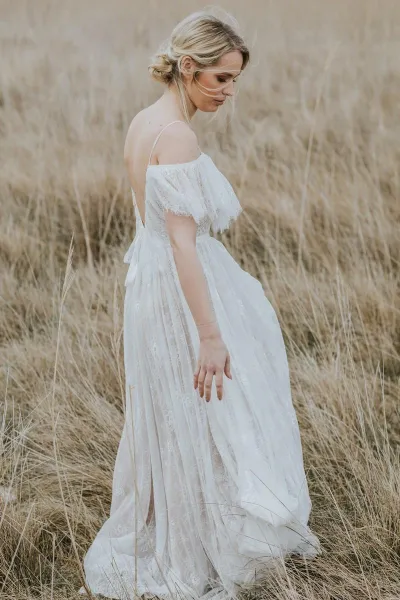 Collecion 2019