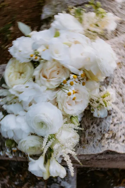 Rustic Romance near Rovinj