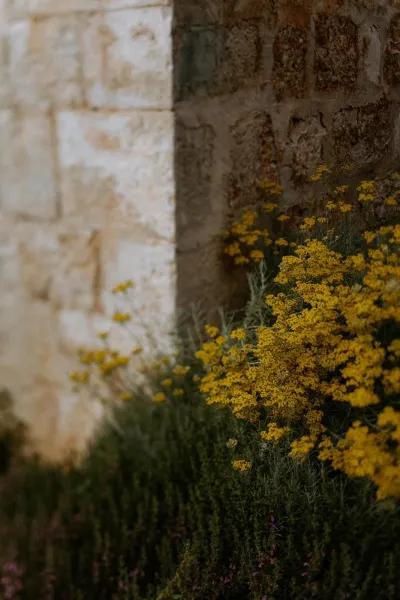 Rustic Romance near Rovinj