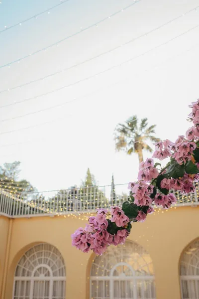 Summer Hues at Villa Dalmacija