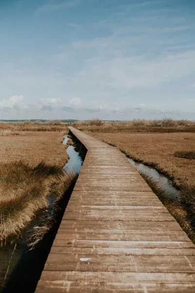 Boho beach wedding