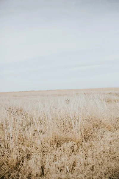 Boho beach wedding