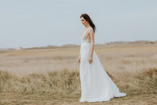 Collecion 2019