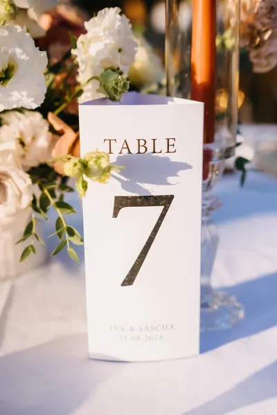Iva & Sascha's Rustic Wedding in rural Dalmatia