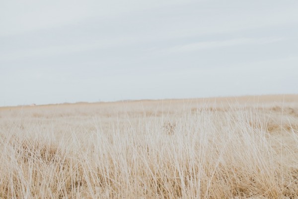 Boho beach wedding