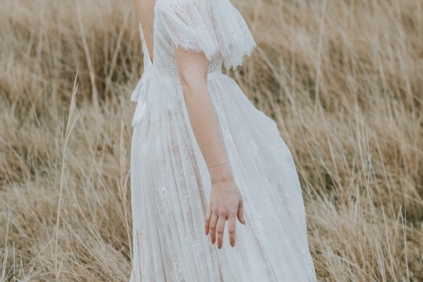 Collecion 2019