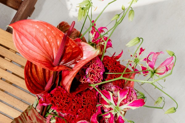Modern wedding in Crvena Luka, Zadar
