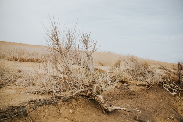 Boho beach wedding