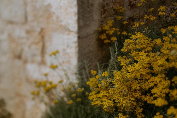 Rustic Romance near Rovinj